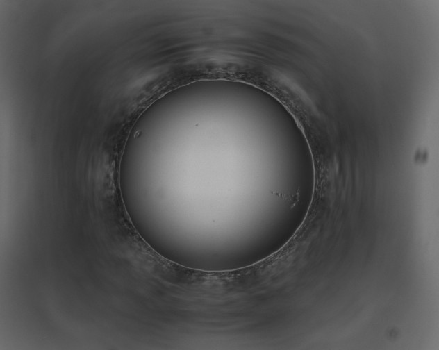 X0000096651013200802051149
