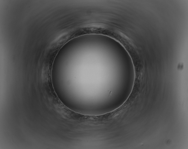 X0000096651014200802051149