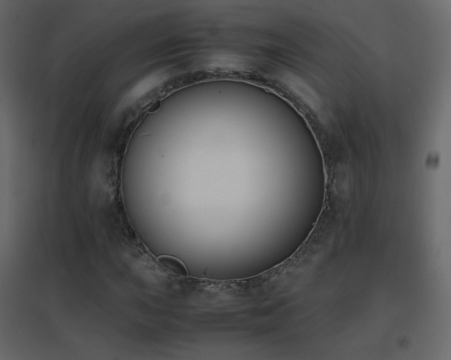 X0000096651015200802051149