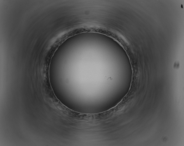 X0000096651016200802051149