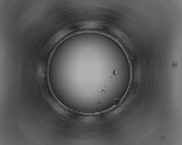 X0000096651017200802051149