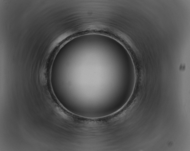 X0000096651018200802051149