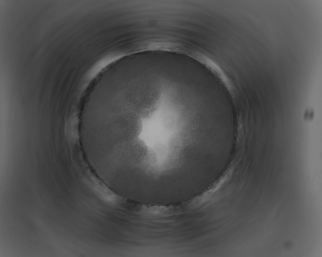X0000096651019200802051149