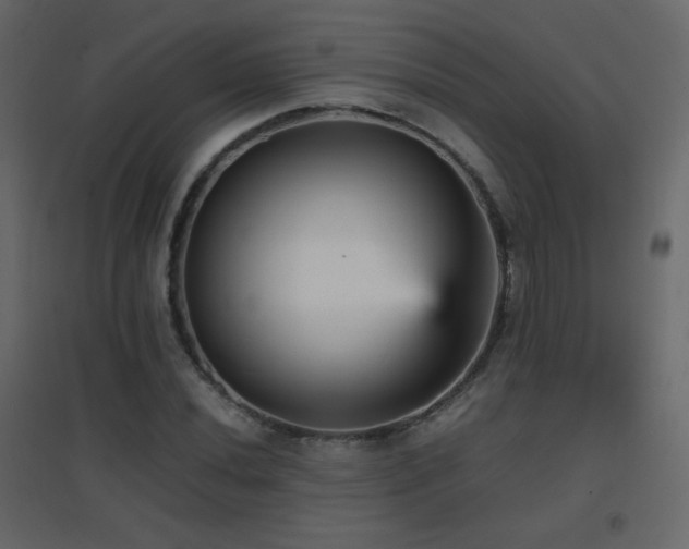 X0000096651020200802051150