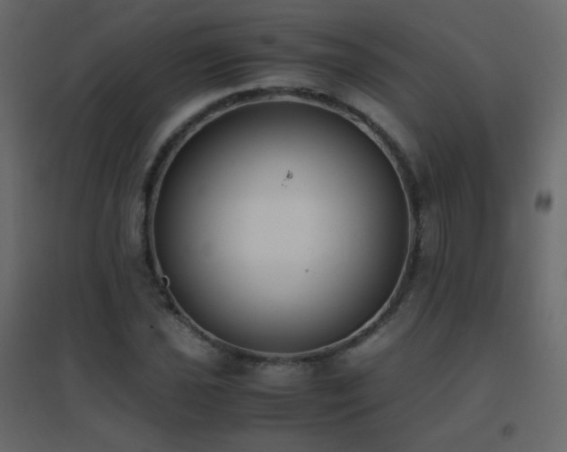 X0000096651021200802051150