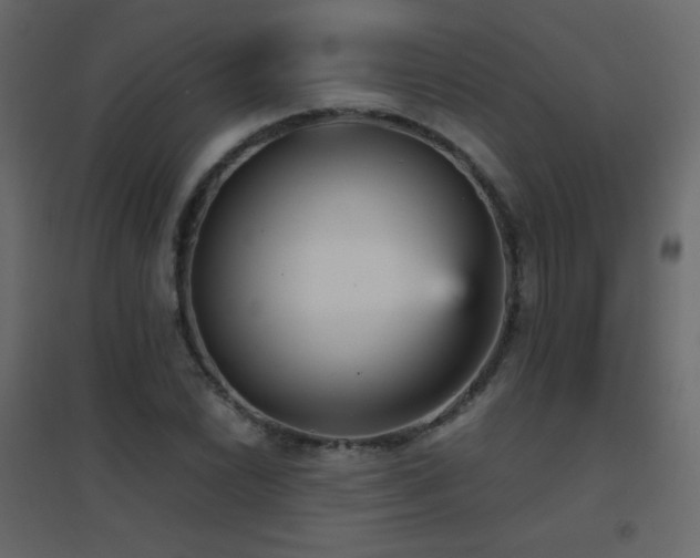 X0000096651022200802051150