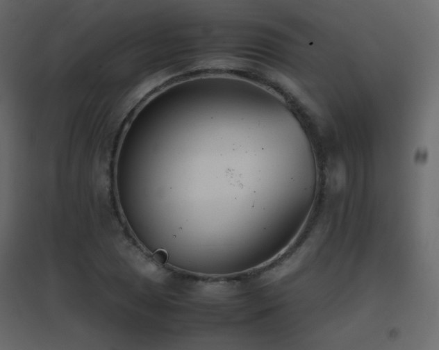 X0000096651025200802051150