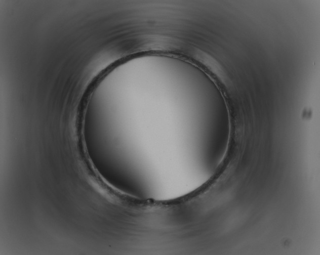 X0000096651026200802051150