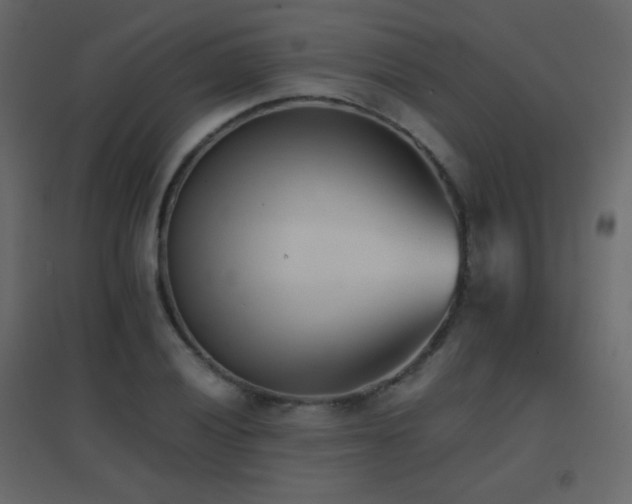 X0000096651028200802051150