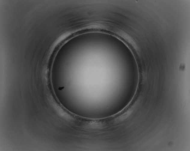 X0000096651029200802051150