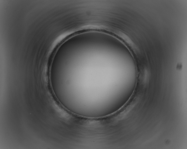 X0000096651030200802051150