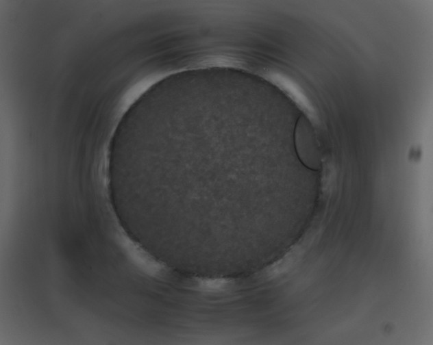 X0000096651031200802051150