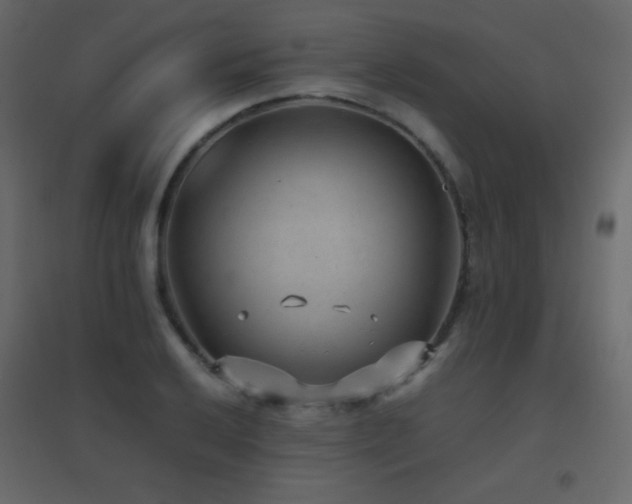 X0000096651032200802051150