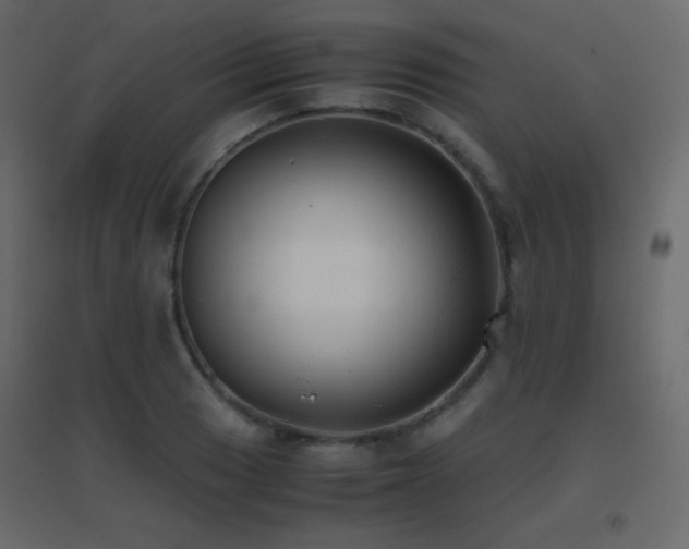 X0000096651033200802051150