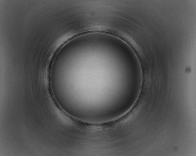 X0000096651034200802051150