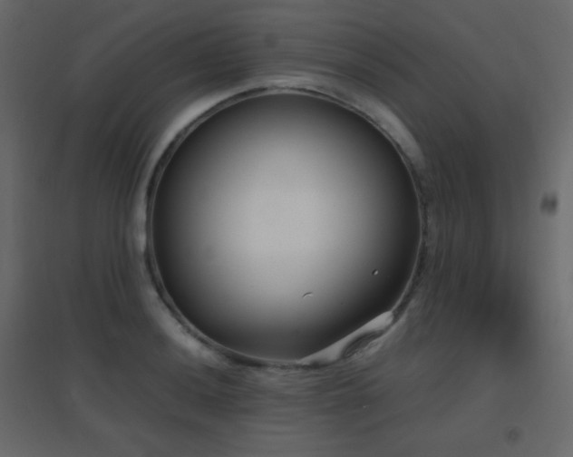 X0000096651036200802051150