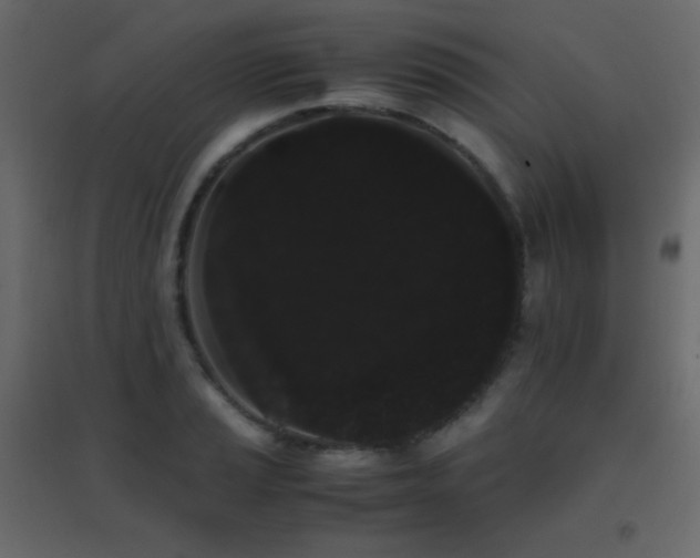 X0000096651037200802051150