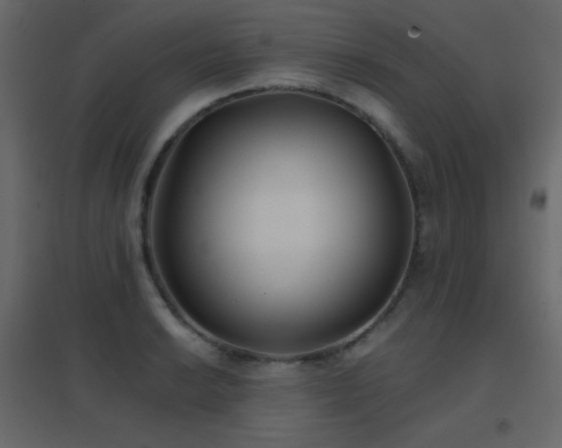 X0000096651038200802051150