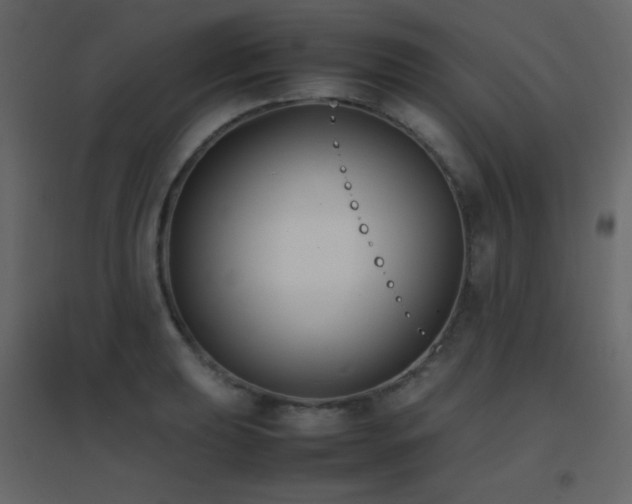 X0000096651039200802051150