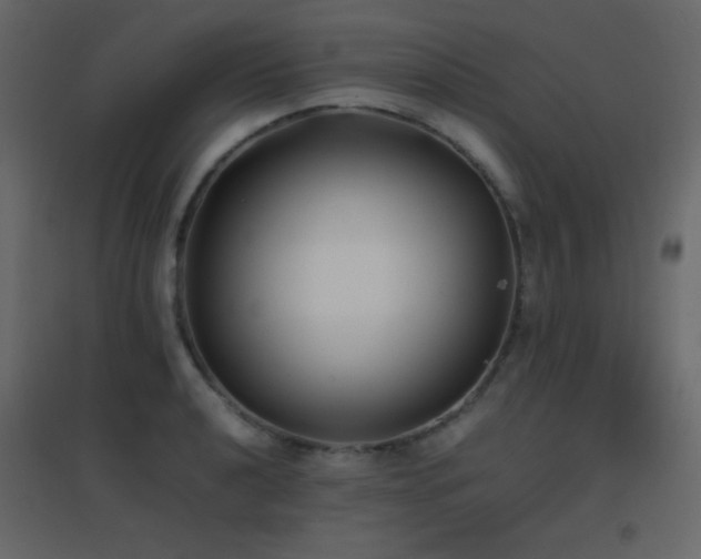 X0000096651040200802051150