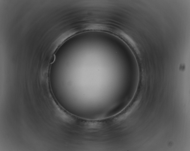X0000096651041200802051150