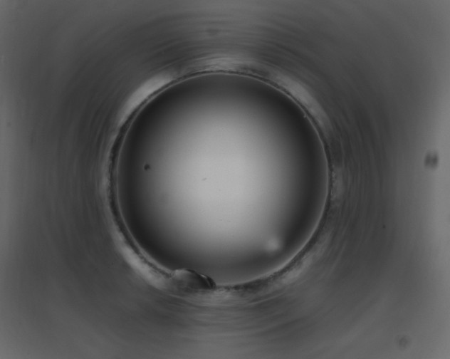 X0000096651042200802051150