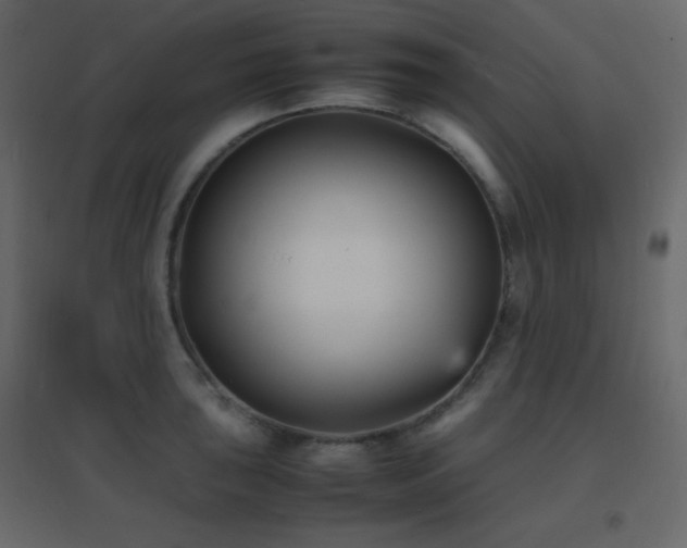 X0000096651043200802051150