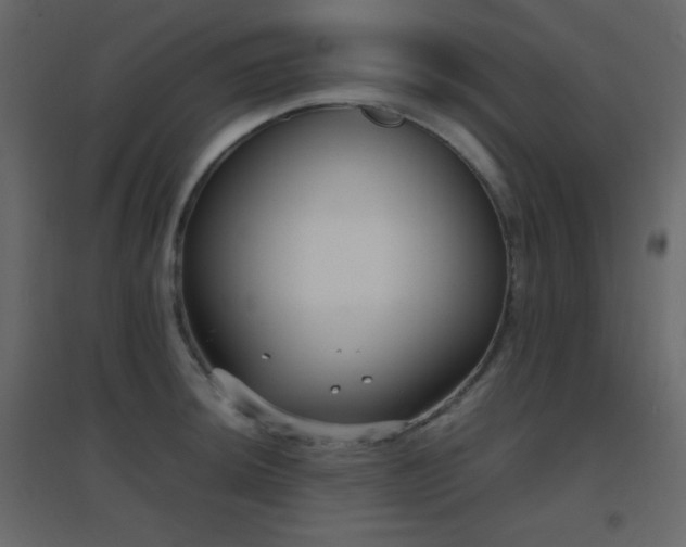 X0000096651044200802051150