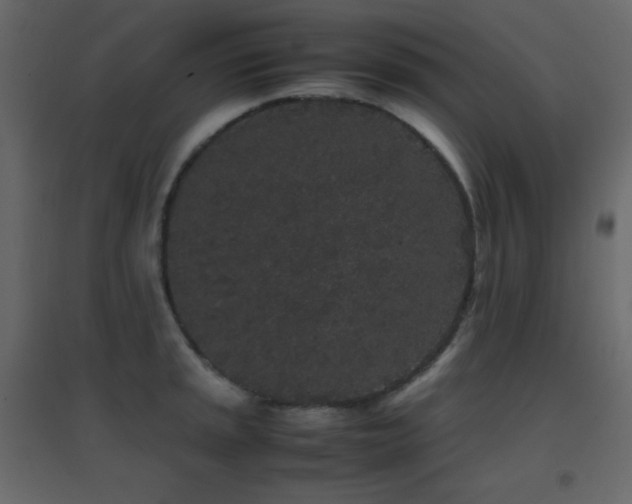 X0000096651045200802051150