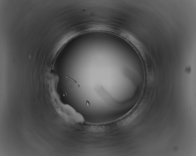 X0000096651049200802051150