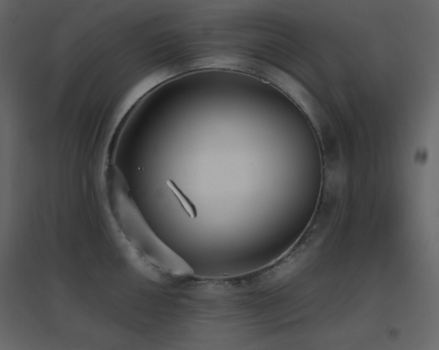 X0000096651050200802051150