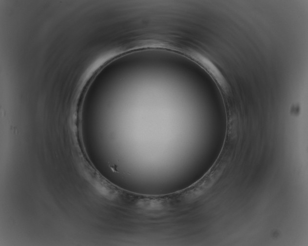 X0000096651051200802051150