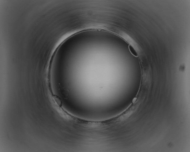 X0000096651052200802051150