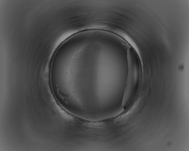 X0000096651053200802051150