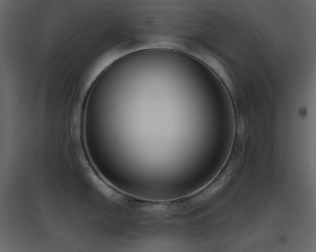 X0000096651054200802051150