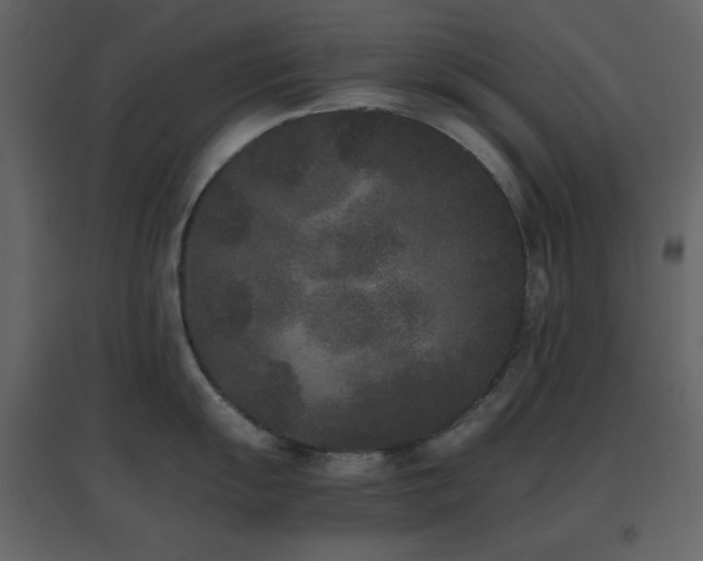 X0000096651055200802051150