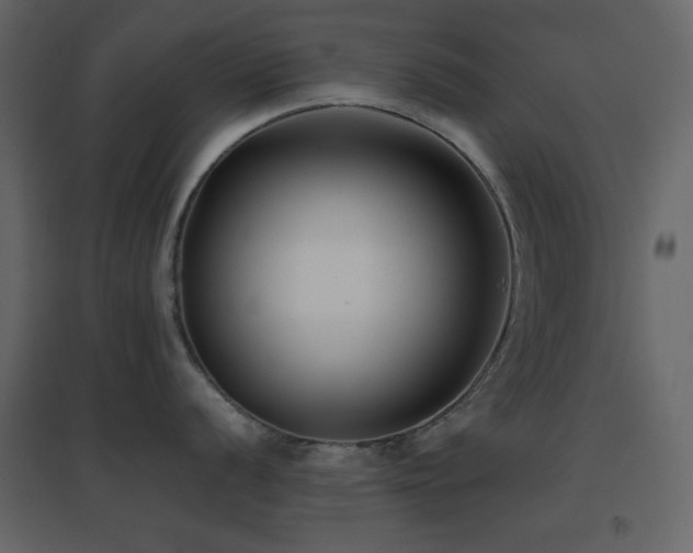 X0000096651056200802051150