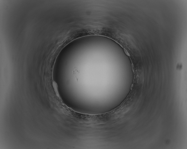 X0000096651057200802051149