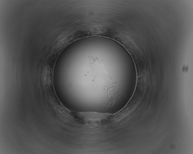 X0000096651058200802051149