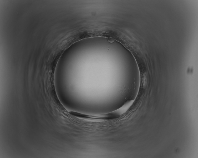 X0000096651059200802051149