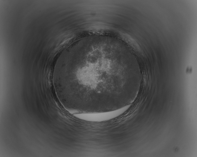 X0000096651060200802051149