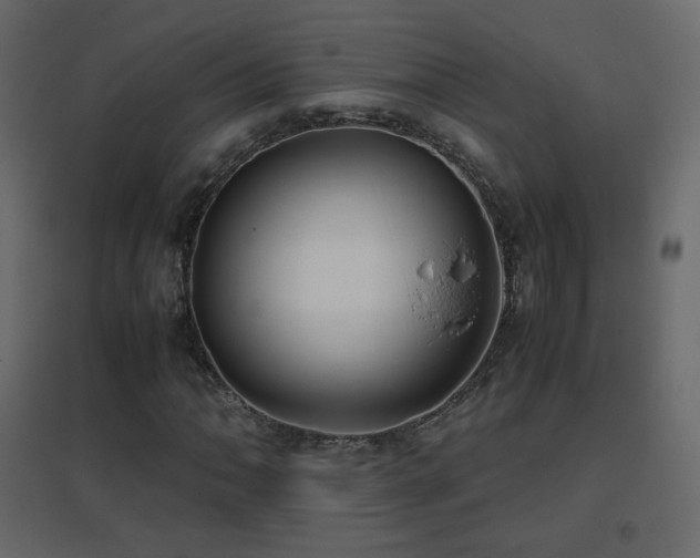 X0000096651062200802051149