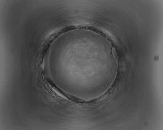 X0000096651063200802051149