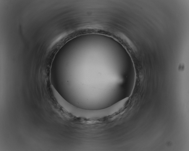 X0000096651064200802051149