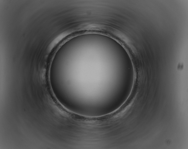 X0000096651066200802051149