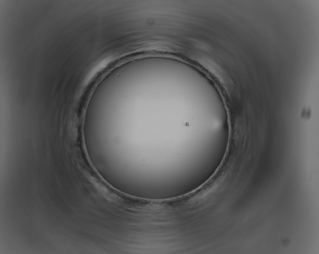 X0000096651067200802051149