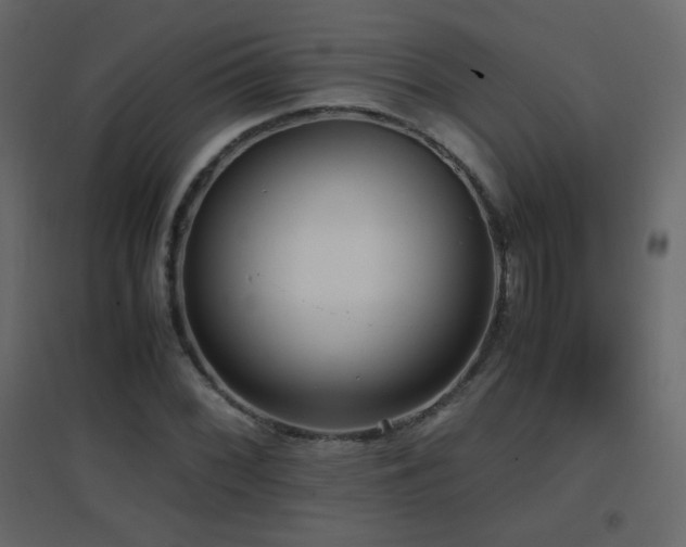 X0000096651068200802051149