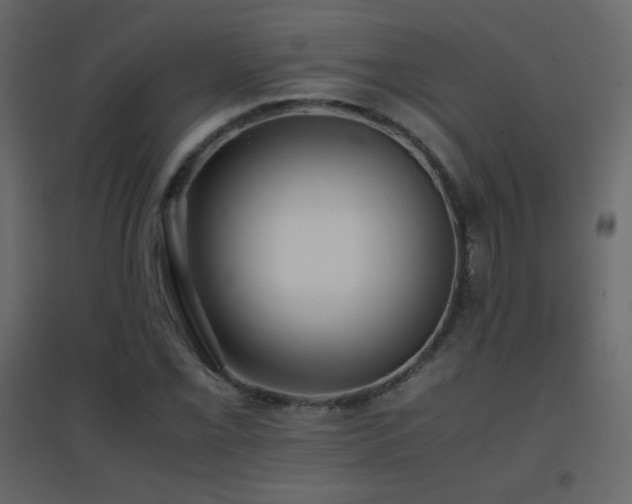 X0000096651069200802051149