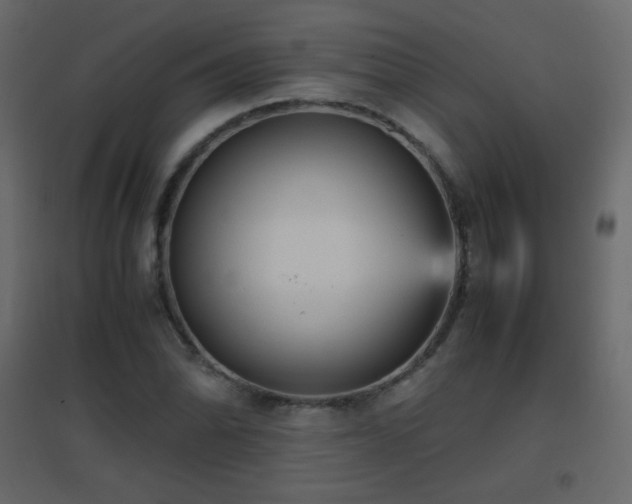 X0000096651070200802051149