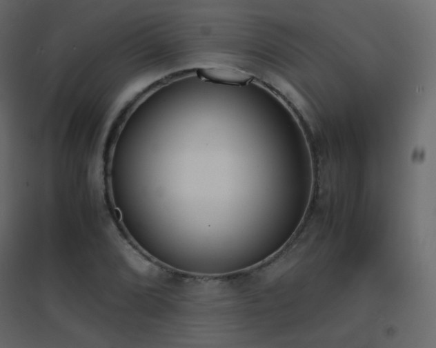 X0000096651072200802051149